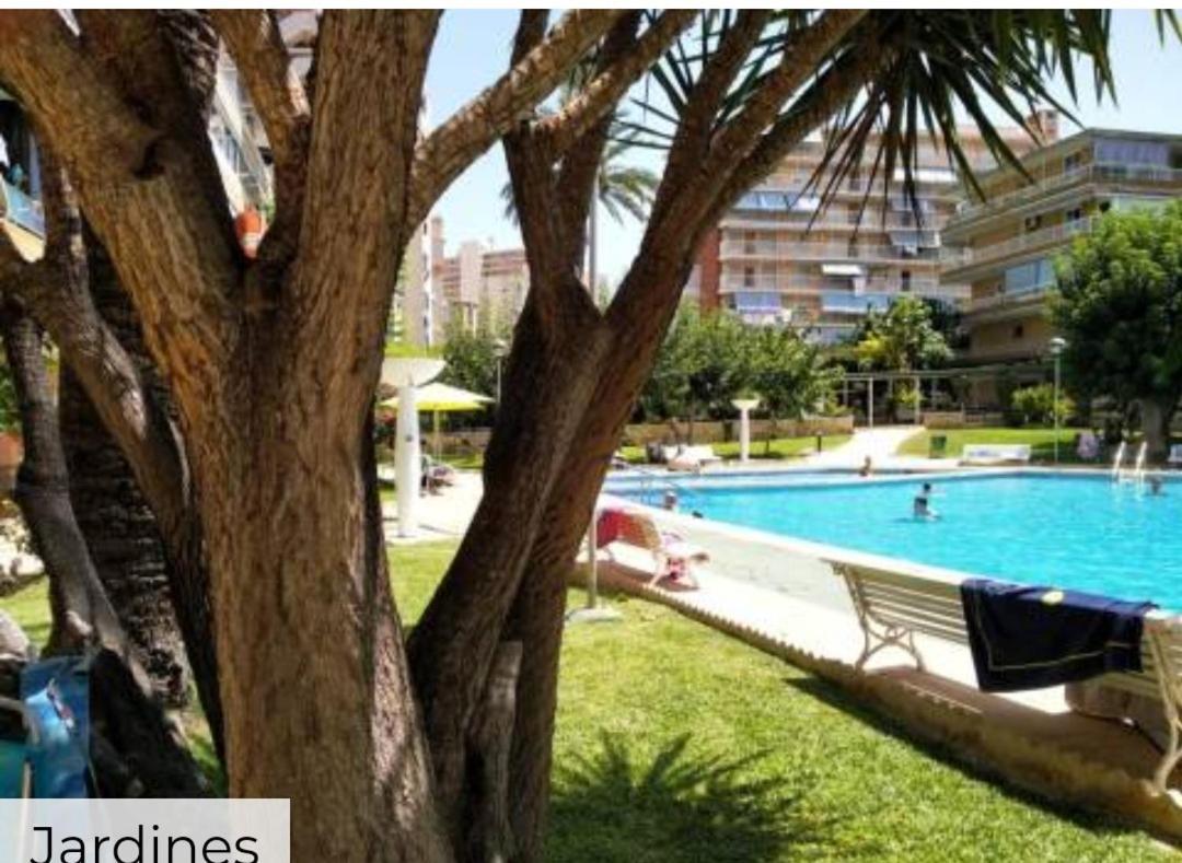Apartamento Entero En La Playa San Juan Benacantil Аликанте Екстериор снимка